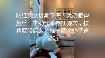   探花陈先生，深夜上门偷拍楼凤，极品大胸配上翘臀，含男根骚话连篇