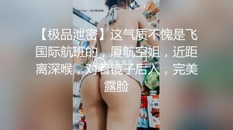 【极品泄密】这气质不愧是飞国际航班的，厦航空姐，近距离深喉，对着镜子后入，完美露脸