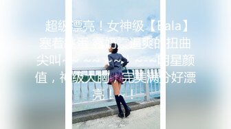 小烧妇自动打桩