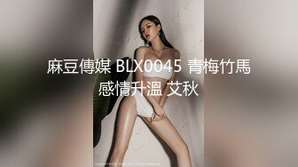 麻豆傳媒 BLX0045 青梅竹馬感情升溫 艾秋