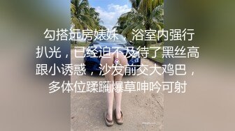 骚货被干得淫语不断