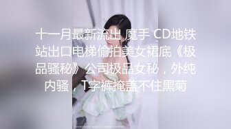 十一月最新流出 魔手 CD地铁站出口电梯偷拍美女裙底《极品骚秘》公司极品女秘，外纯内骚，T字裤掩盖不住黑菊