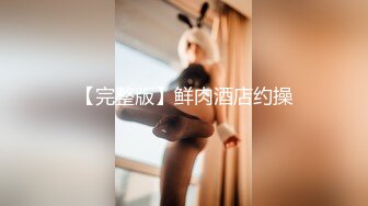 女仆主题系列第二集