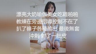 南阳调教骚母狗（一）-同事-妹妹-长腿-女仆-换妻