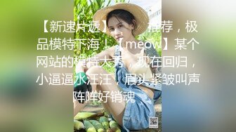 黑丝美腿车模 揉奶艳舞 扳穴大秀【西西baby】及一对一 啪啪短视频福利视频合集 (61)