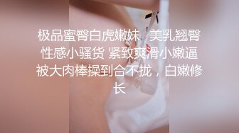 MM088 麻豆传媒 无套系列 下流母狗羞耻露出 吴梦梦 VIP0600