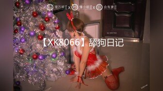 【XK8066】舔狗日记