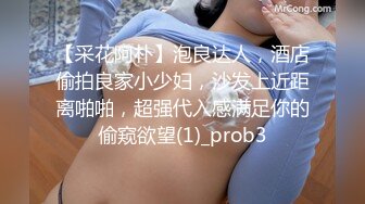 国际贸易专业女孩2