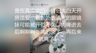 顶级反差尤物气质白领✿读稿件时被上司被趁机吃豆腐，压抑的呻吟让人浮想联翩！[LULU-224]AI无码破解版3