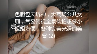 豹纹比基尼,美胸骚妹