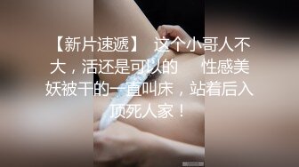 【新片速遞】  这个小哥人不大，活还是可以的❤️性感美妖被干的一直叫床，站着后入顶死人家！