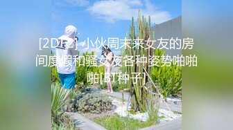 最新无水首发！推特极品人形小母狗【Cc重制版】绝版福利，花式调教露出肛塞口交M腿狗链吃烟灰喝尿 (3)