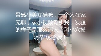 Al—网红小柔 制服诱惑性爱服务