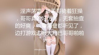 女上位黑丝母狗  不定时更新