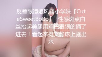 魔手CD【2023】《诱惑丝系列》（二）黑丝美女