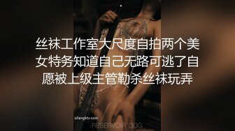 外淑女内骚的少妇