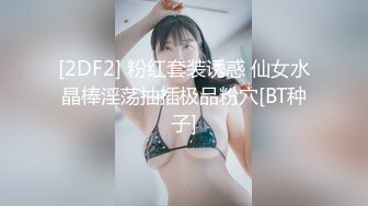 黏黏团子兔 NO.007 甘雨魅魔