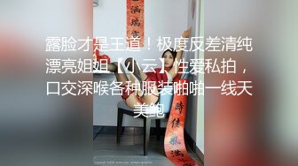 自購-AI繪畫各類美女來壹波415P