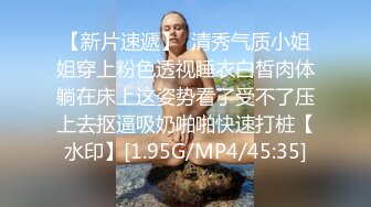 原味蕾丝透视女仆装