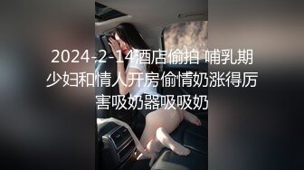 2024-05-30 米菲兔 性感名媛参加晚宴公厕内自慰出水 探花 兔子先生