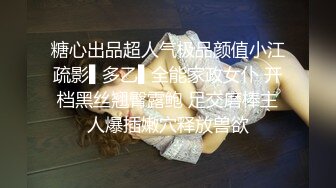 【午夜探花66】新晋老哥寻欢，女仆装短发少妇，穿上黑丝聊聊人生，吸吮大屌扶屁股后入，操的妹子喊疼