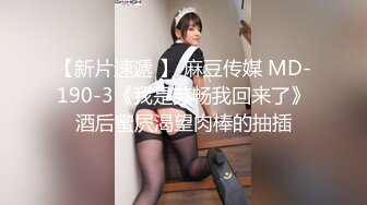 【新片速遞 】 麻豆传媒 MD-190-3《我是苏畅我回来了》酒后蜜屄渴望肉棒的抽插