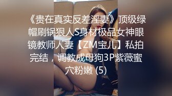 女搜查官特殊手段