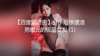 【百度云泄密】分手后惨遭渣男曝光的极品女友 (1)