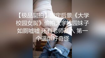 十一月最新流出 精品厕拍酒吧女厕偷拍 看手机的极品颜值黑丝美女很有撸点