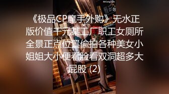 《极品CP魔手外购》无水正版价值千元某工厂职工女厕所全景正点位置偸拍各种美女小姐姐大小便看脸看双洞超多大屁股 (2)