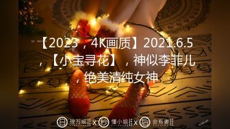 【2023，4K画质】2021.6.5，【小宝寻花】，神似李菲儿，绝美清纯女神