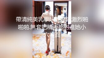 糖心Vlog 肉丝长腿女模下海记 淑怡