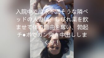 DV-1682 身がもたない新婚生活 葵つかさ【BVPP】