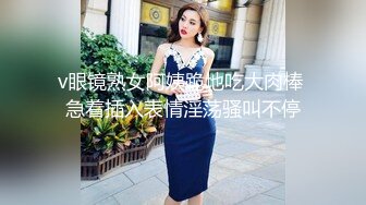  人前高冷女神范大学生美眉恬恬私下竟是极度反差母狗露脸啪啪颜射吃精毛多水多11部合集